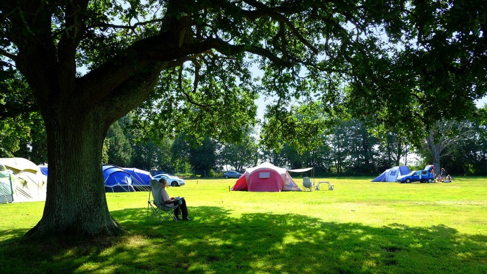 South Lytchett Manor Camping