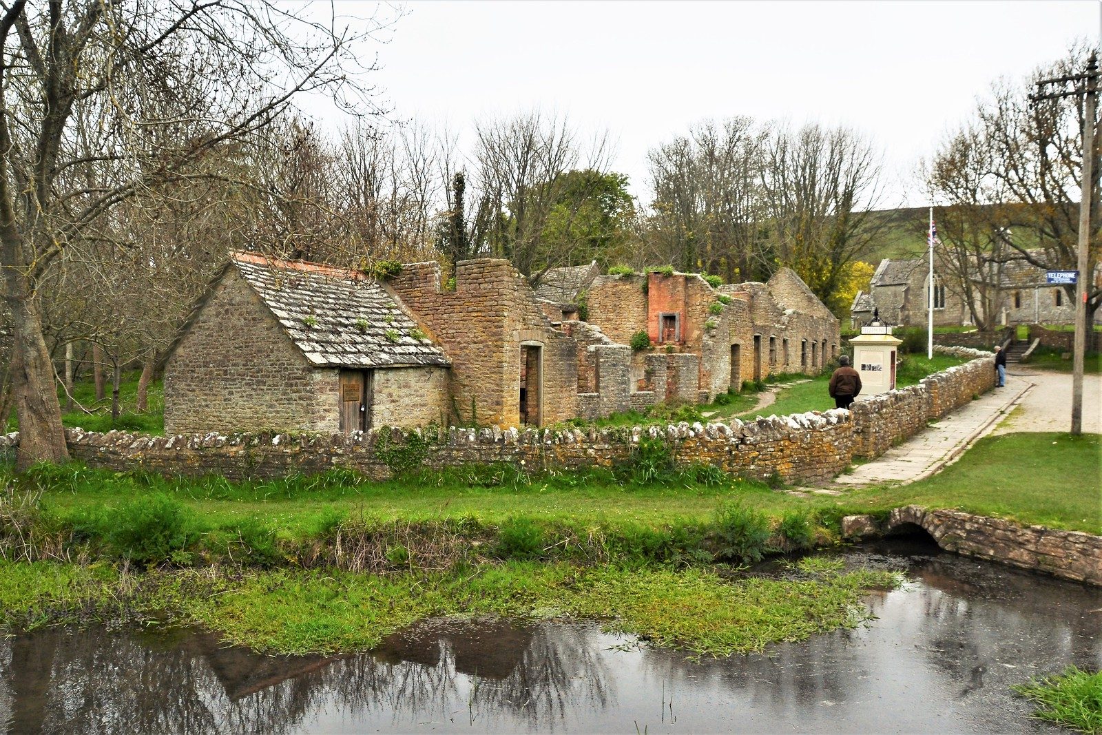 Winter Walks in South Dorset