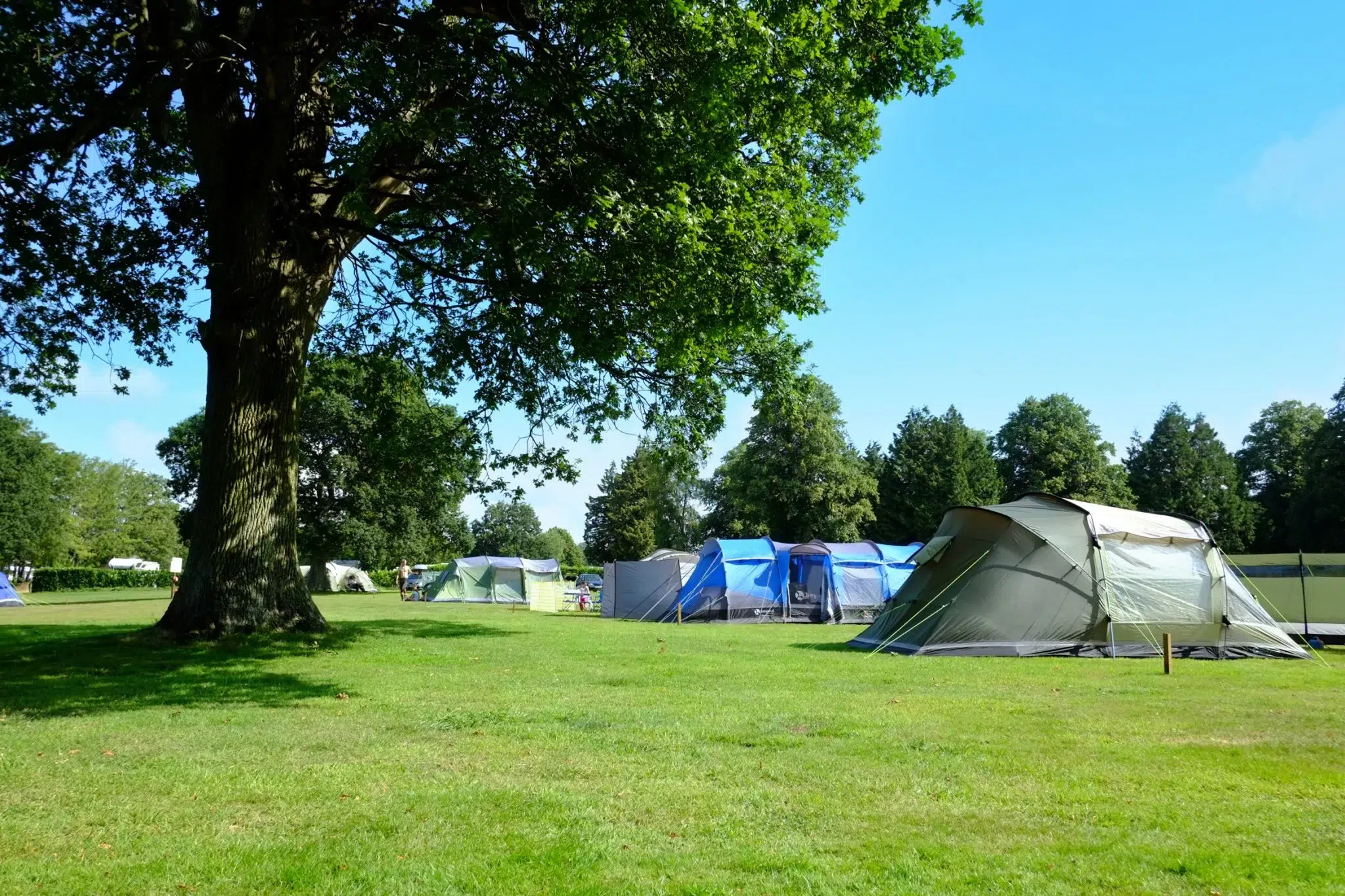 Family tent camping at South Lytchett Manor Dorset