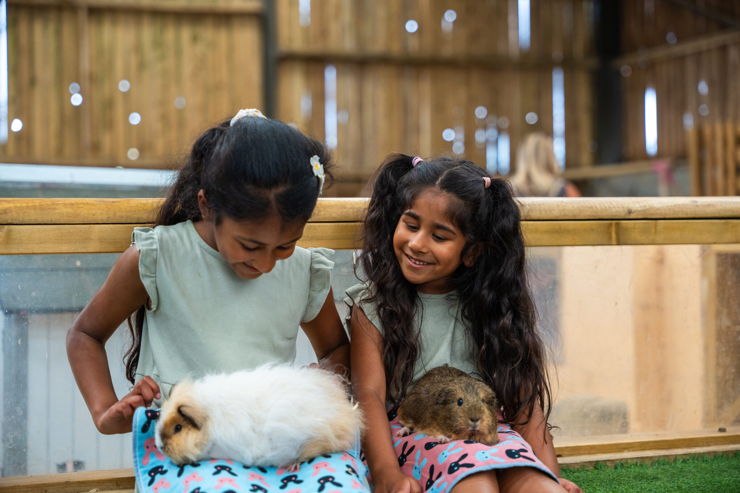 Animal Encounters at Farmer Palmers