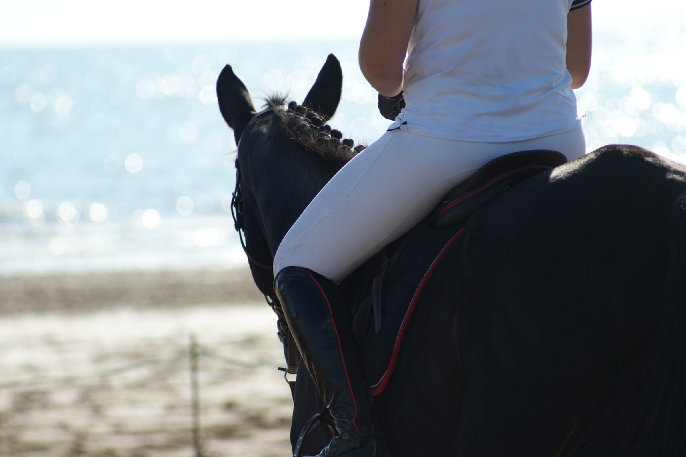 sand polo on sandbanks beach