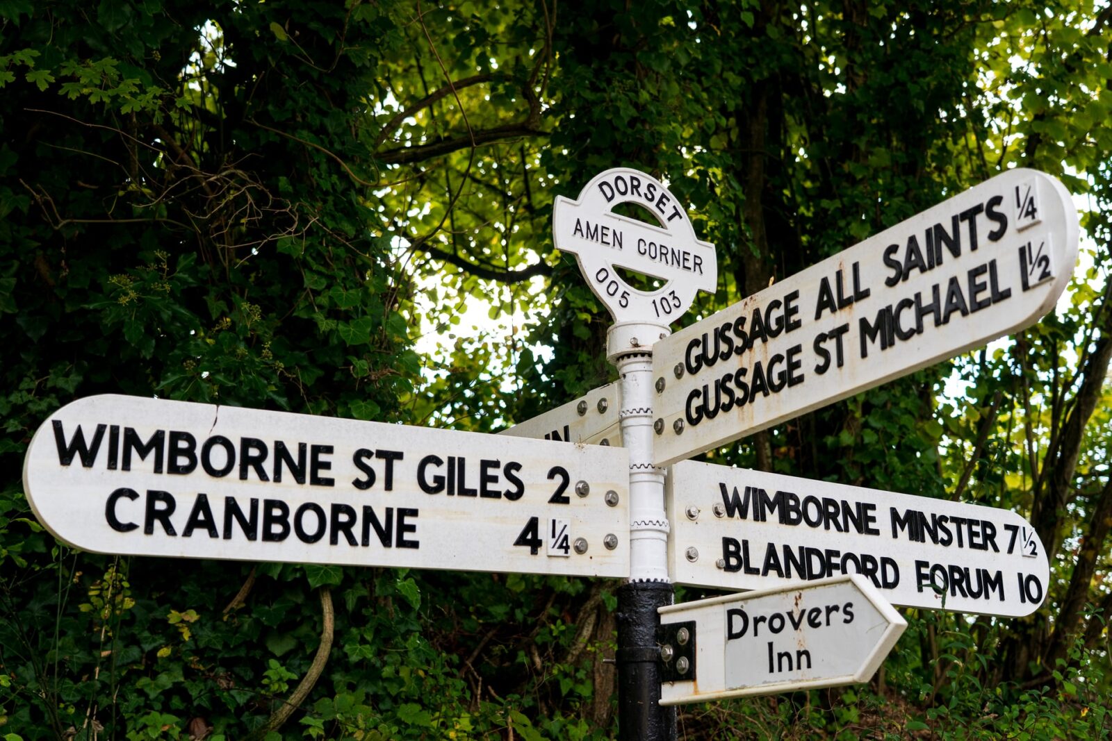 One Week in Dorset: 7 Day Sightseeing Itinerary