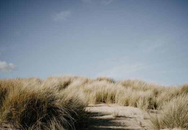 sandunes at studland beach