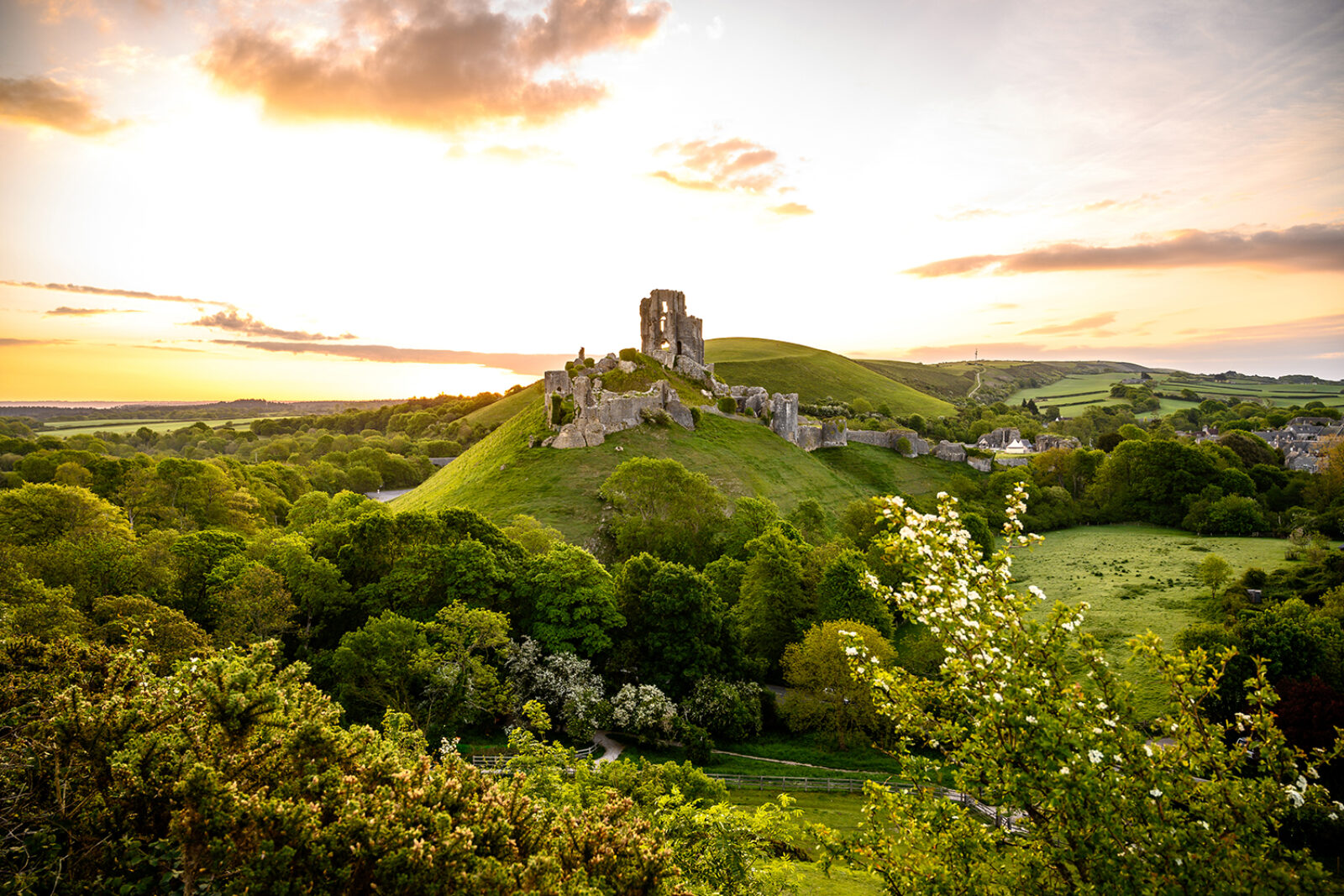 Budget-friendly days out in Dorset