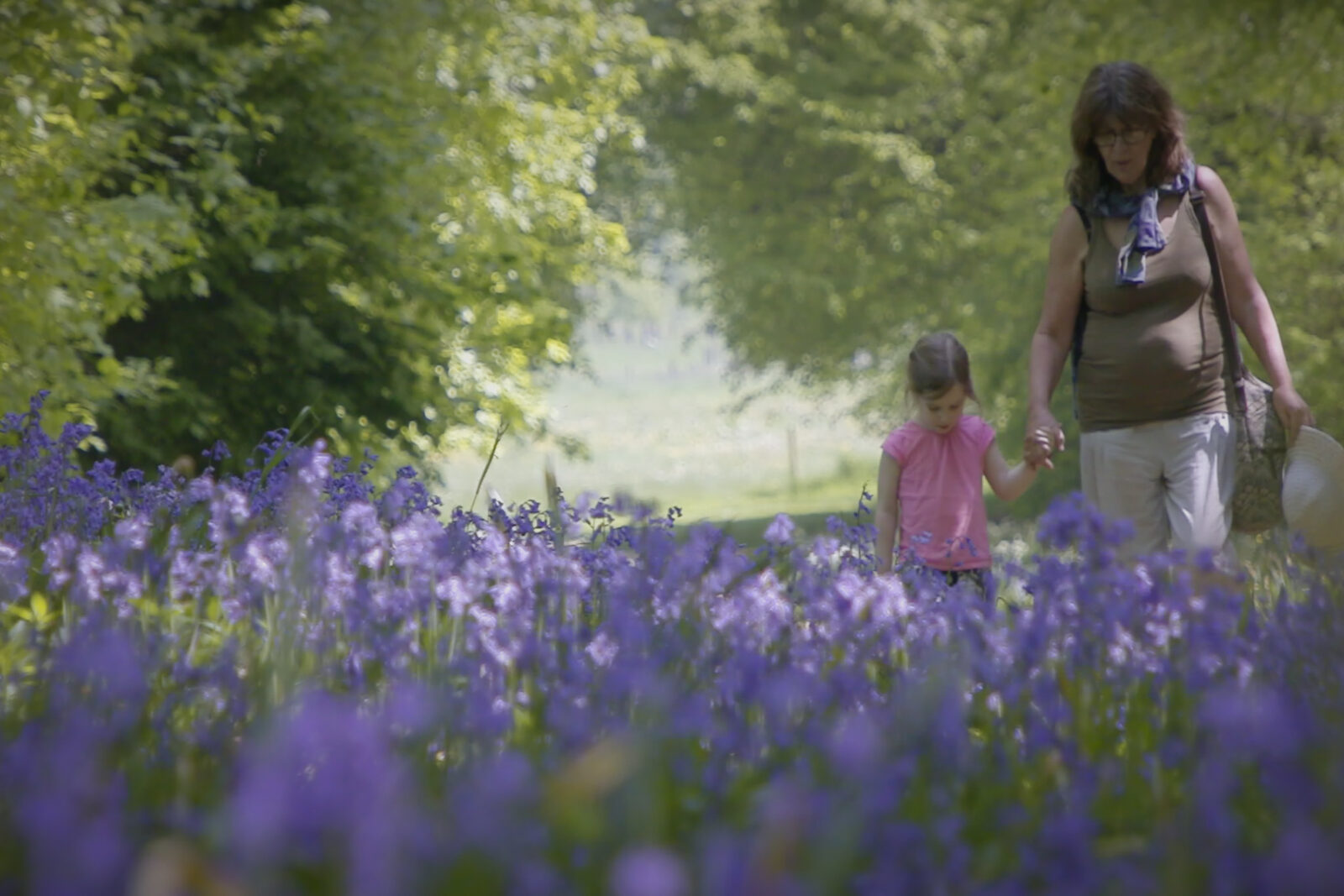 Top Gardens to Visit in Dorset