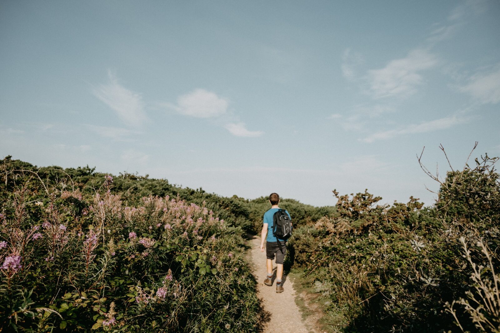 The Best Scenic Pub Walks In Dorset