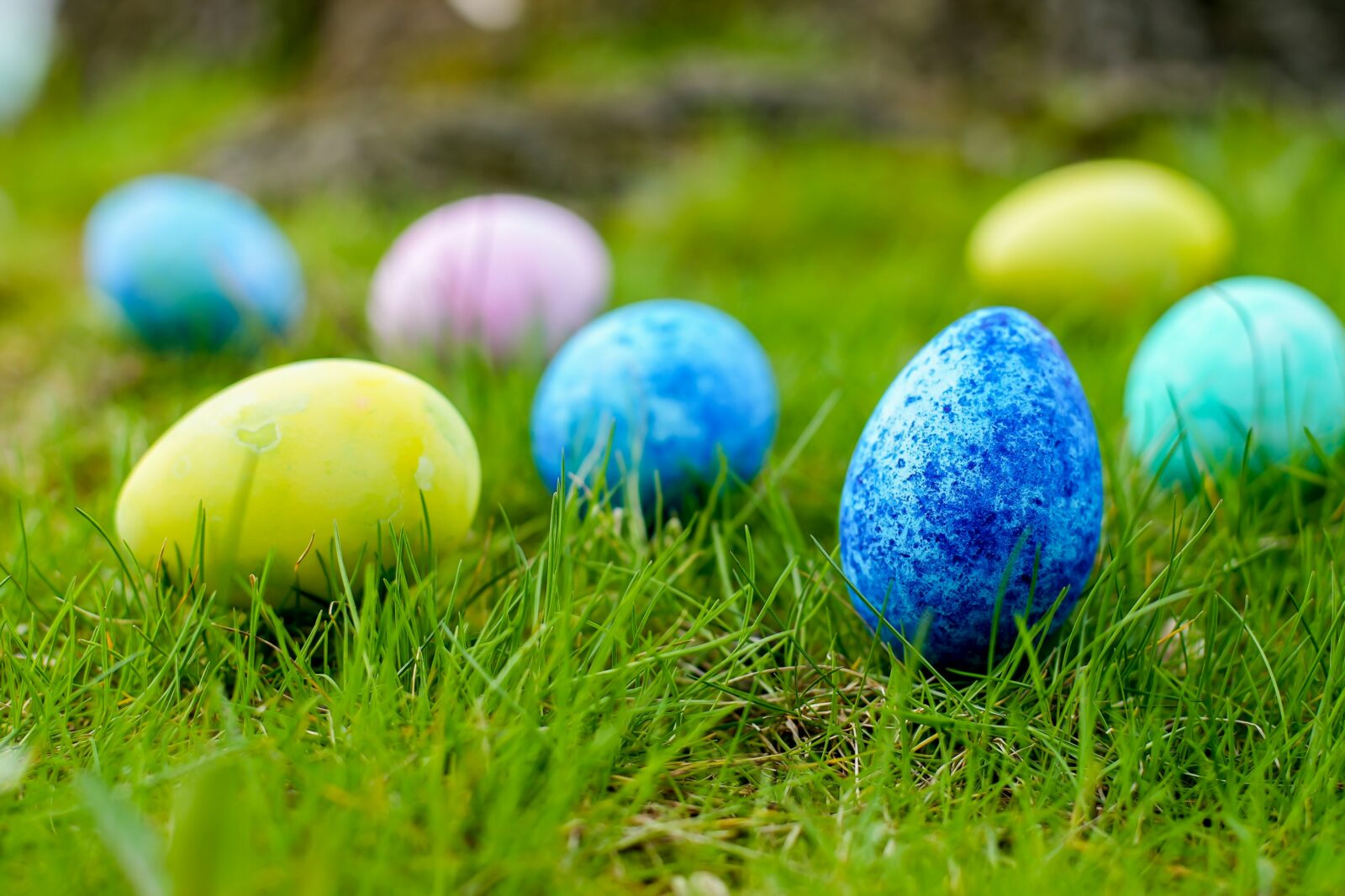 Easter 2026 in Dorset