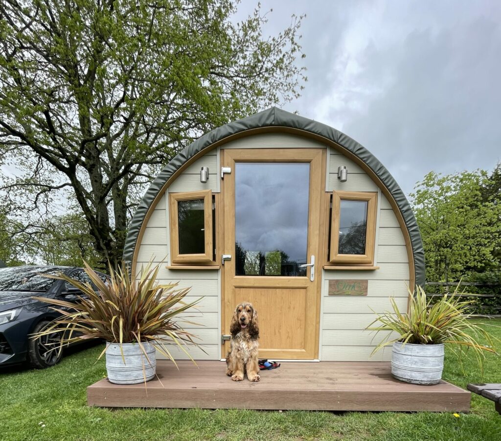 Dog Friendly Glamping pod