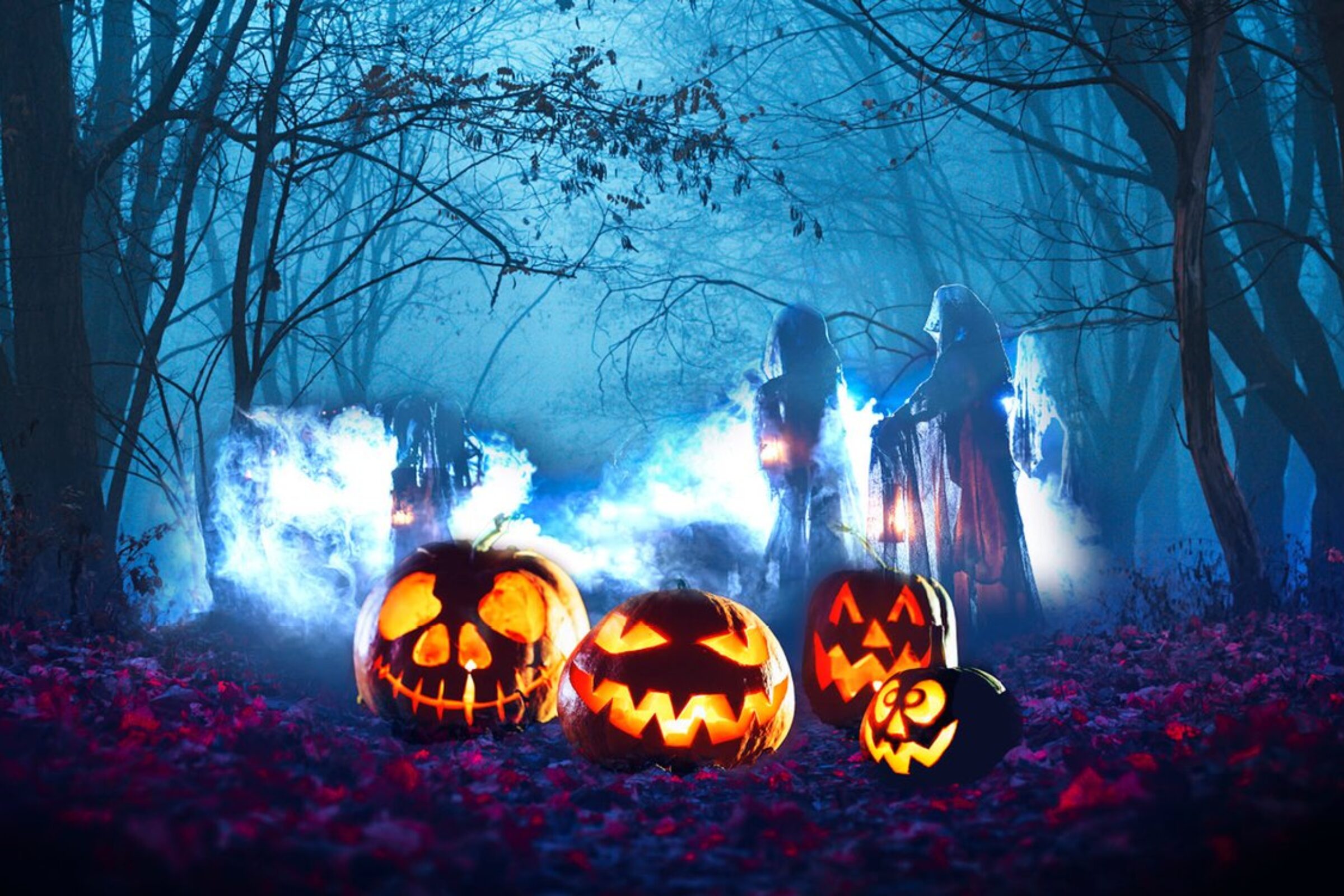Halloween at Moors Valley