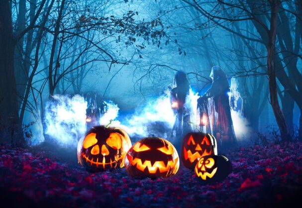 Halloween at Moors Valley