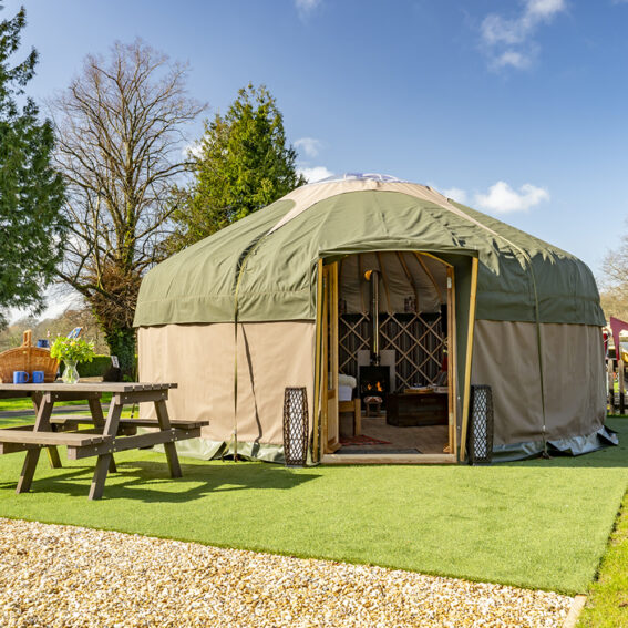 Star gazing Yurts in the spring sunshine