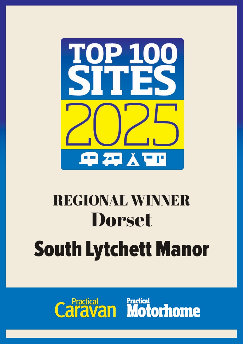 Top 100 Sites Regional Winner