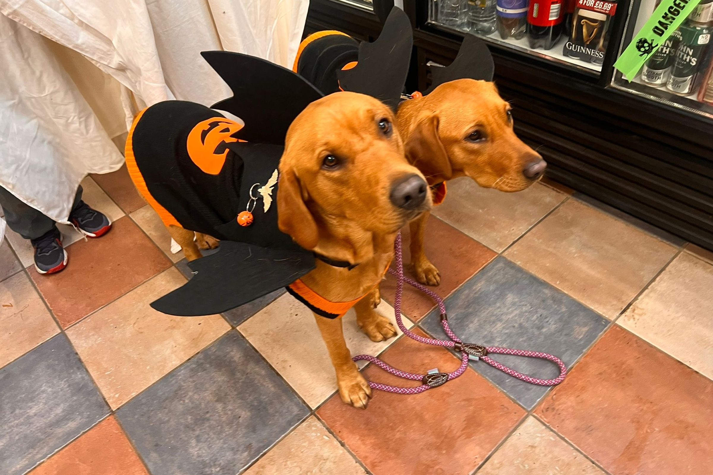 Halloween fancy dress competition at South Lytchett Manor