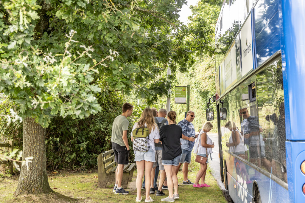 Discover Dorset by bus from right outside South Lytchett Manor